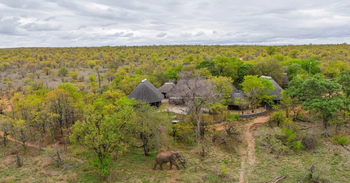 Luxury estate homes in Hoedspruit near Kruger National Park showing modern safari lifestyle living.